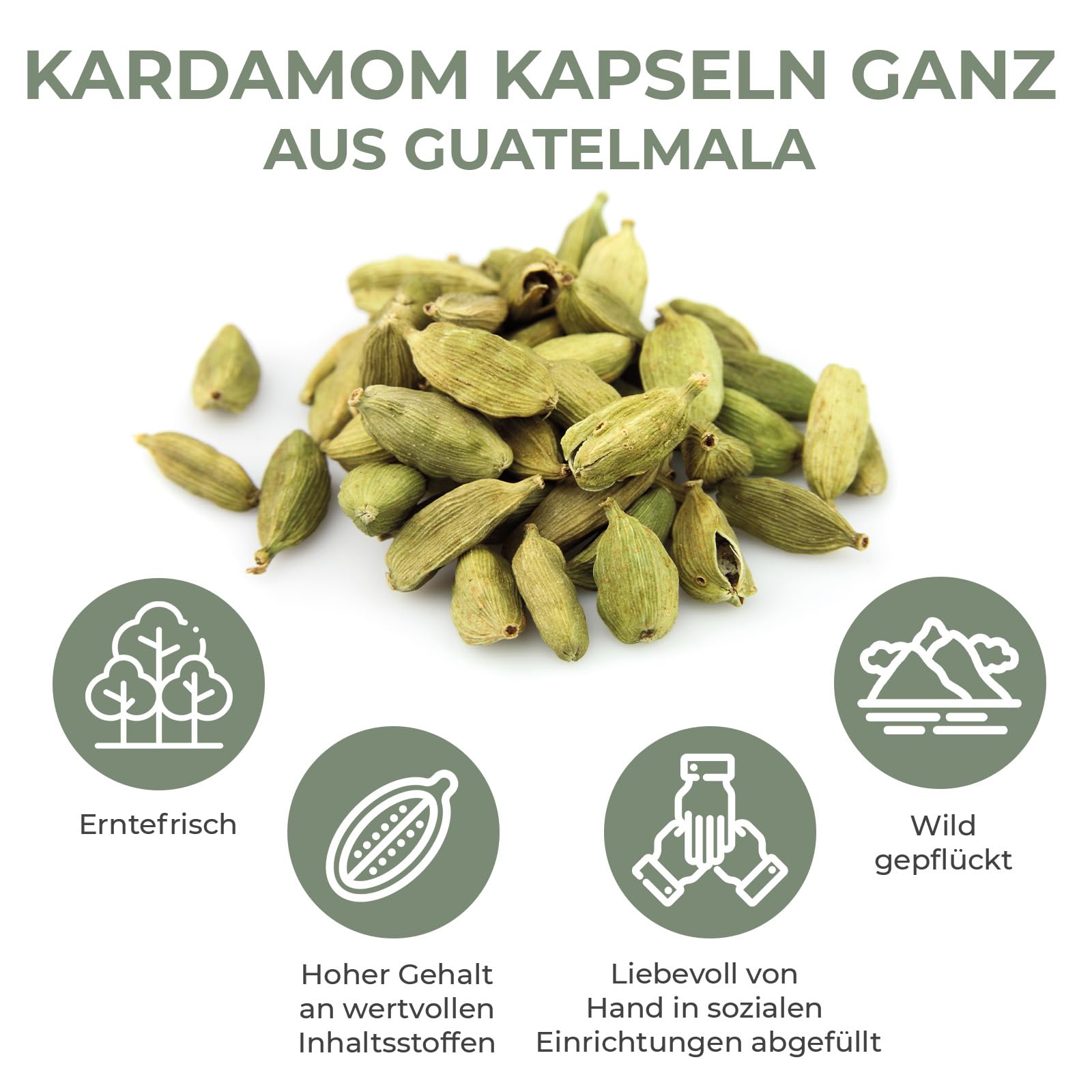 He-Ju Kardamom Ganz Grün 100g
