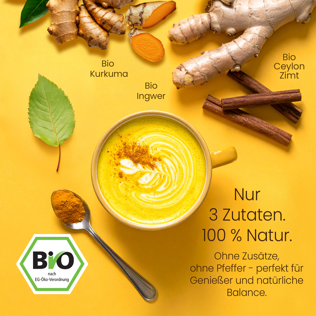 He-Ju Bio Goldene Milch Pur 300g (60 Portionen), Nur 3 Zutaten: Kurkuma, Ingwer & Ceylon Zimt