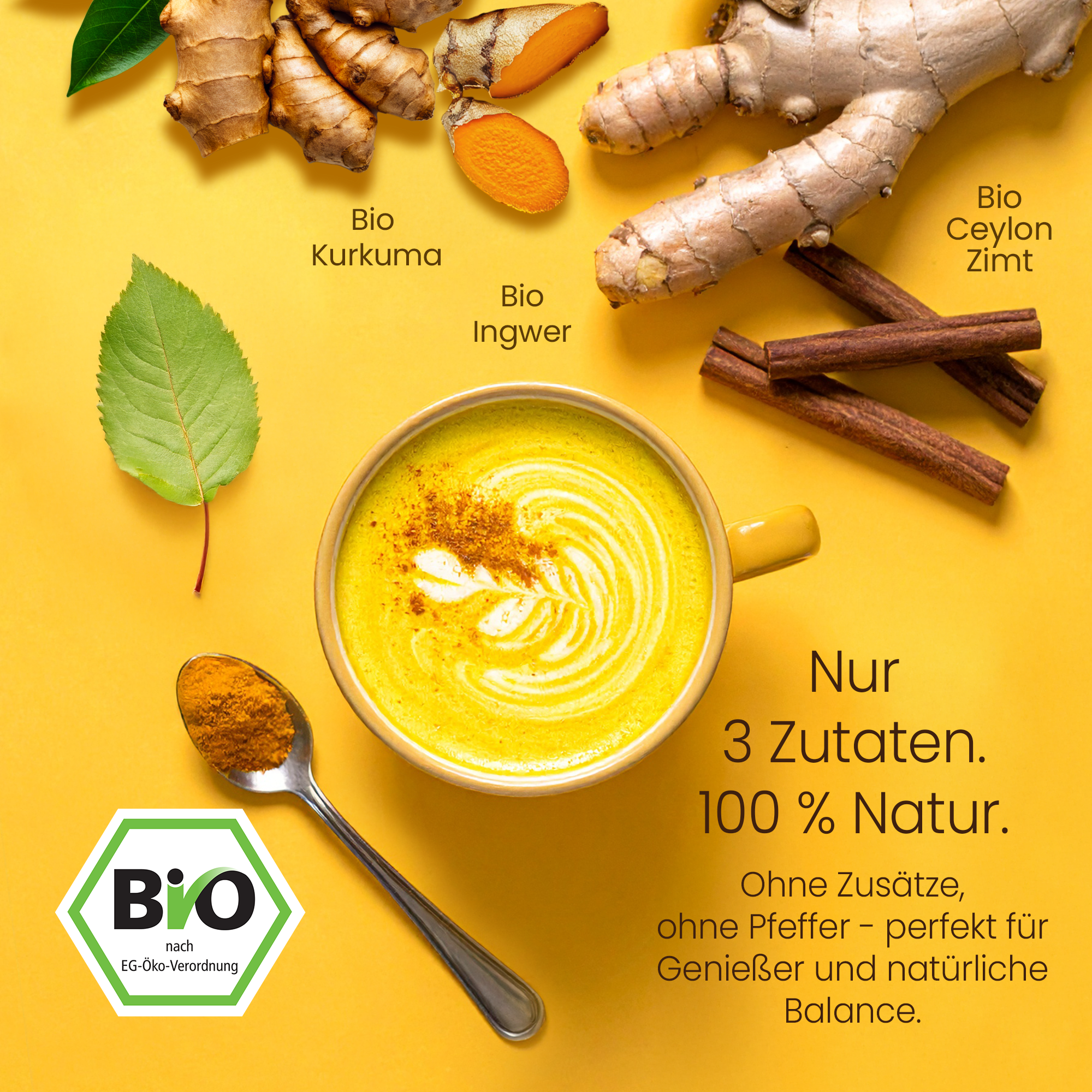 He-Ju Bio Goldene Milch Pur 300g (60 Portionen), Nur 3 Zutaten: Kurkuma, Ingwer & Ceylon Zimt